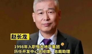 邓州龙堰乡赵长龙哪个村的 赵长龙简历